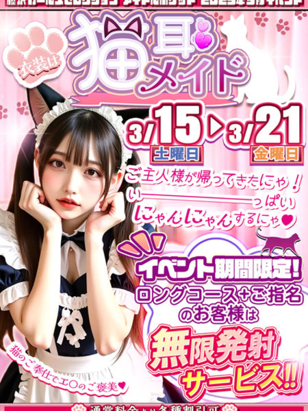 猫耳メイド